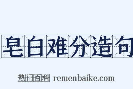 皂白难分造句是什么意思的图片